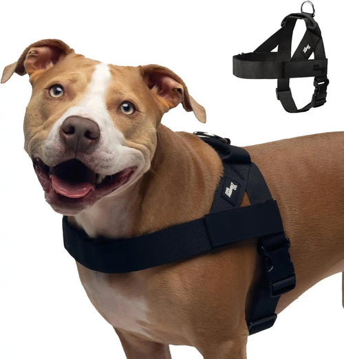 Dog Friendly Co. No-Pull Harness - Easy Fit, Safe and Comfortable Design for All Dogs - Lightweight, Chafe-Resistant Adjustable Straps