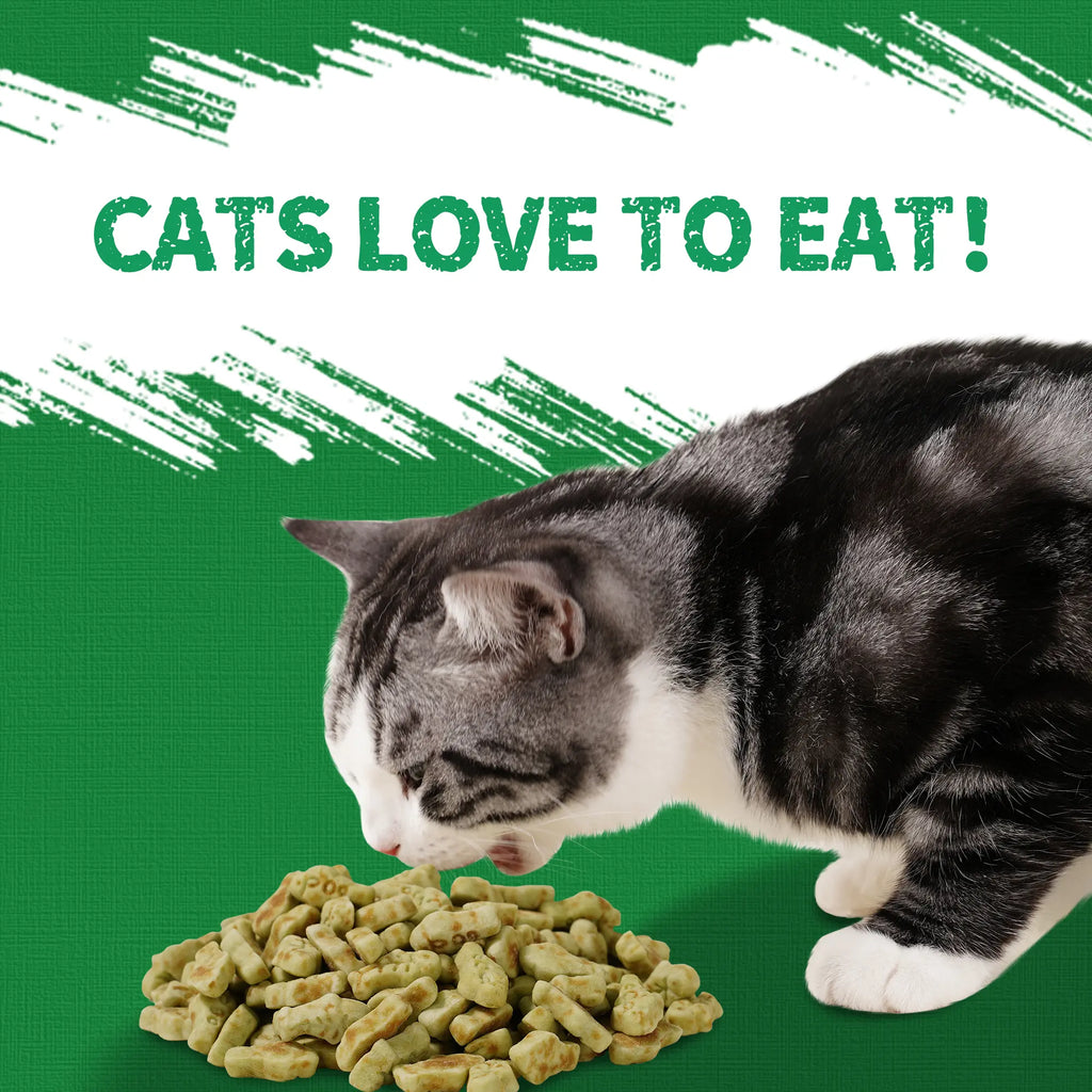 Just Try Cat Treats for Indoor Cats Hairball Control Natural Salmon Healthy Cat Grass Treats Kitten Snacks Training Biscuits Catnip for Cats Dental Care 14.1 OZ