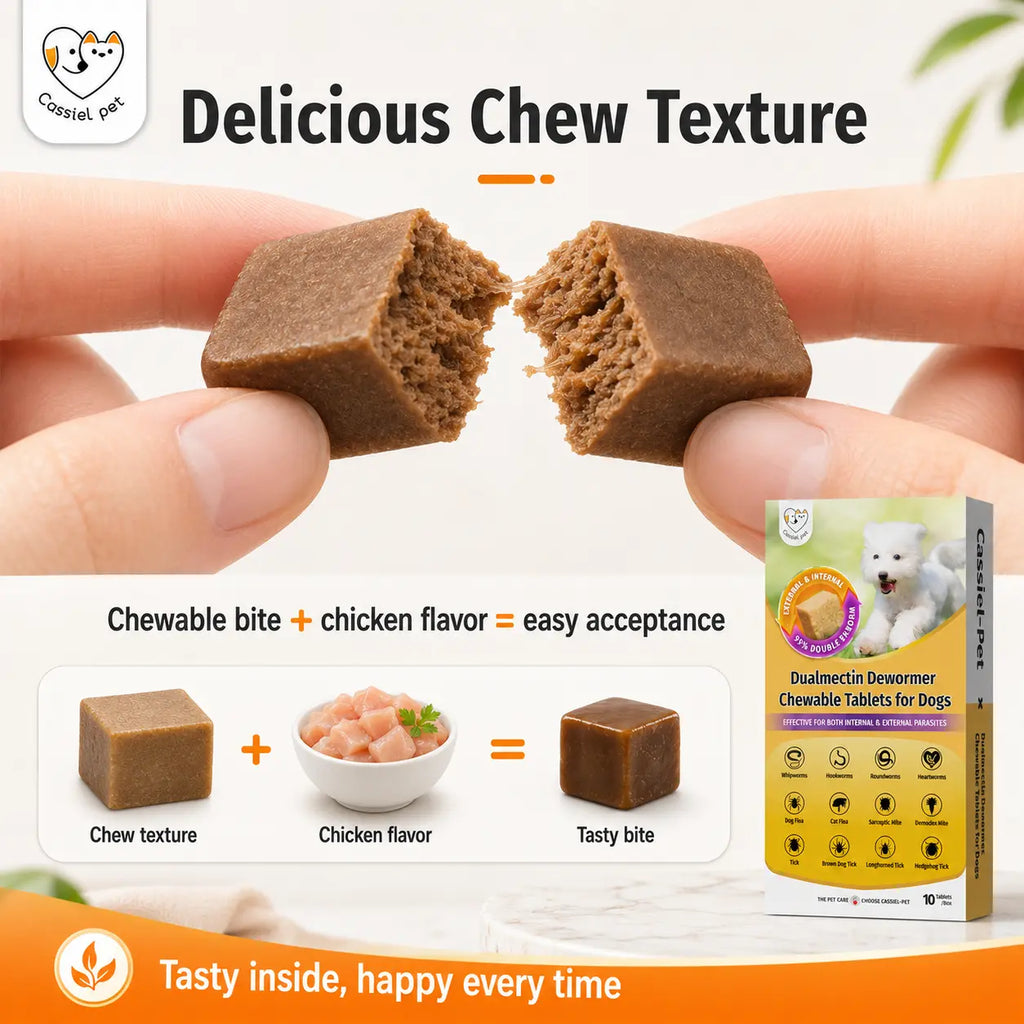 Cassiel Pet Dog Wellness Chews - Natural Herbal Blend for Digestive Support and Skin & Coat Care, Chicken Flavor Soft Treats for Daily Use