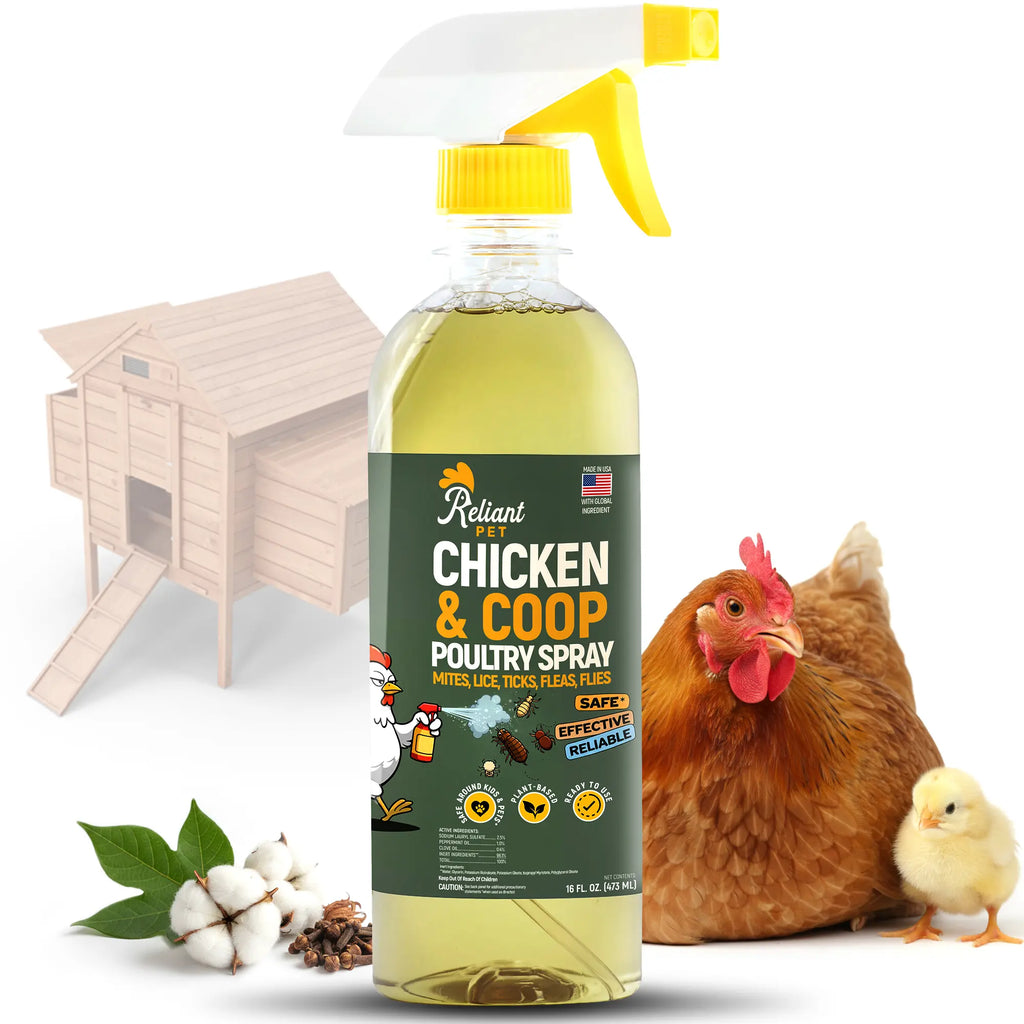 Reliant Pet Chicken & Coop Poultry Spray for Mites, Lice, Ticks, Fleas, and Flies - Safe for Chickens with No Egg Removal Required - Special Promotions for Mother's Day and Father's Day
