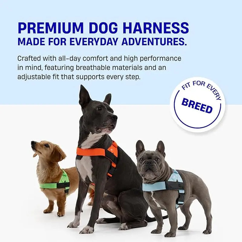 Dog Friendly Co. No-Pull Harness - Easy Fit, Safe and Comfortable Design for All Dogs - Lightweight, Chafe-Resistant Adjustable Straps