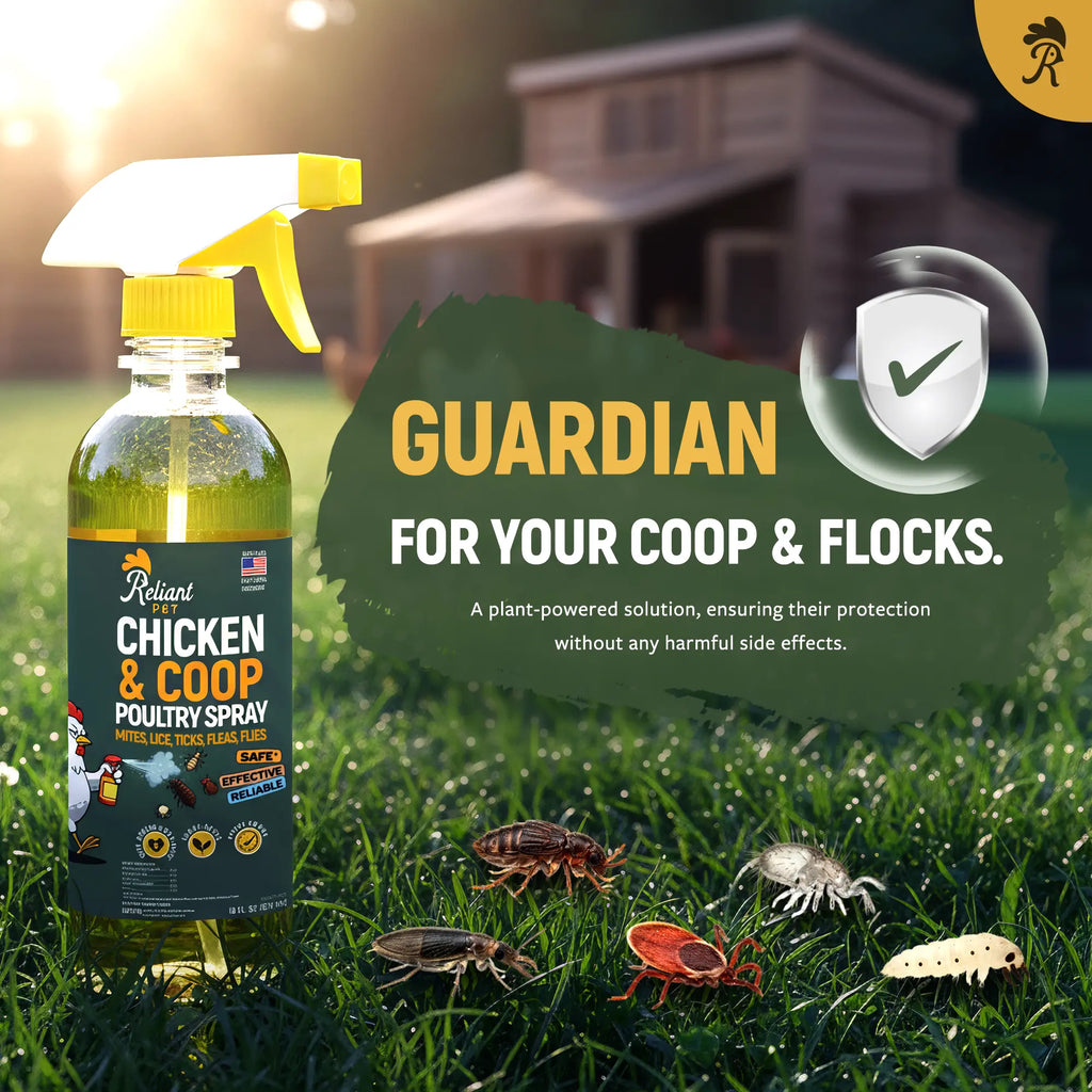 Reliant Pet Chicken & Coop Poultry Spray for Mites, Lice, Ticks, Fleas, and Flies - Safe for Chickens with No Egg Removal Required - Special Promotions for Mother's Day and Father's Day