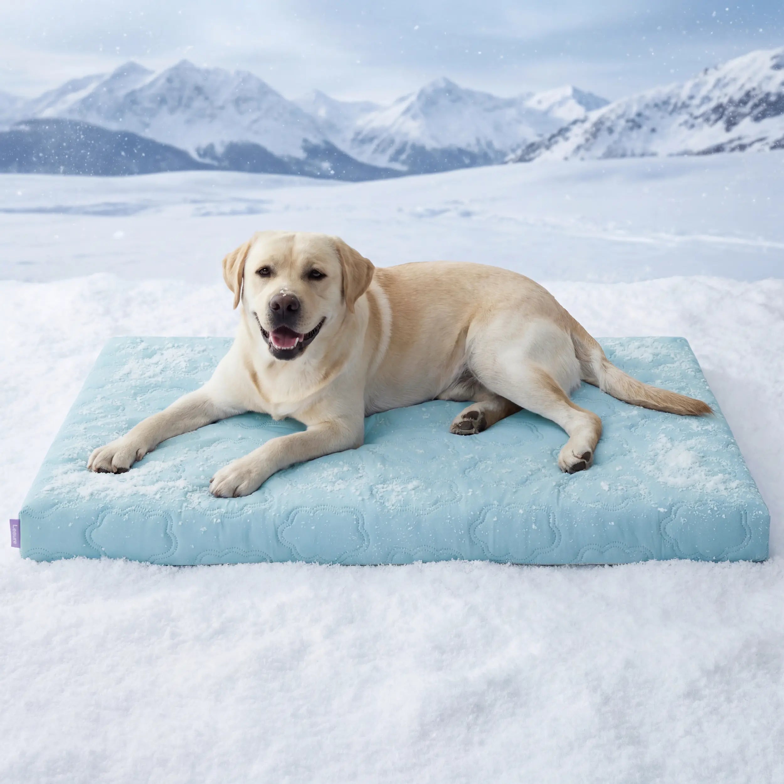 Bedsure Washable Cooling Mat for Dogs - Q-MAX>0.4 Non-Slip Summer Crate Bed for Large Dogs, No Gel or Electricity Required