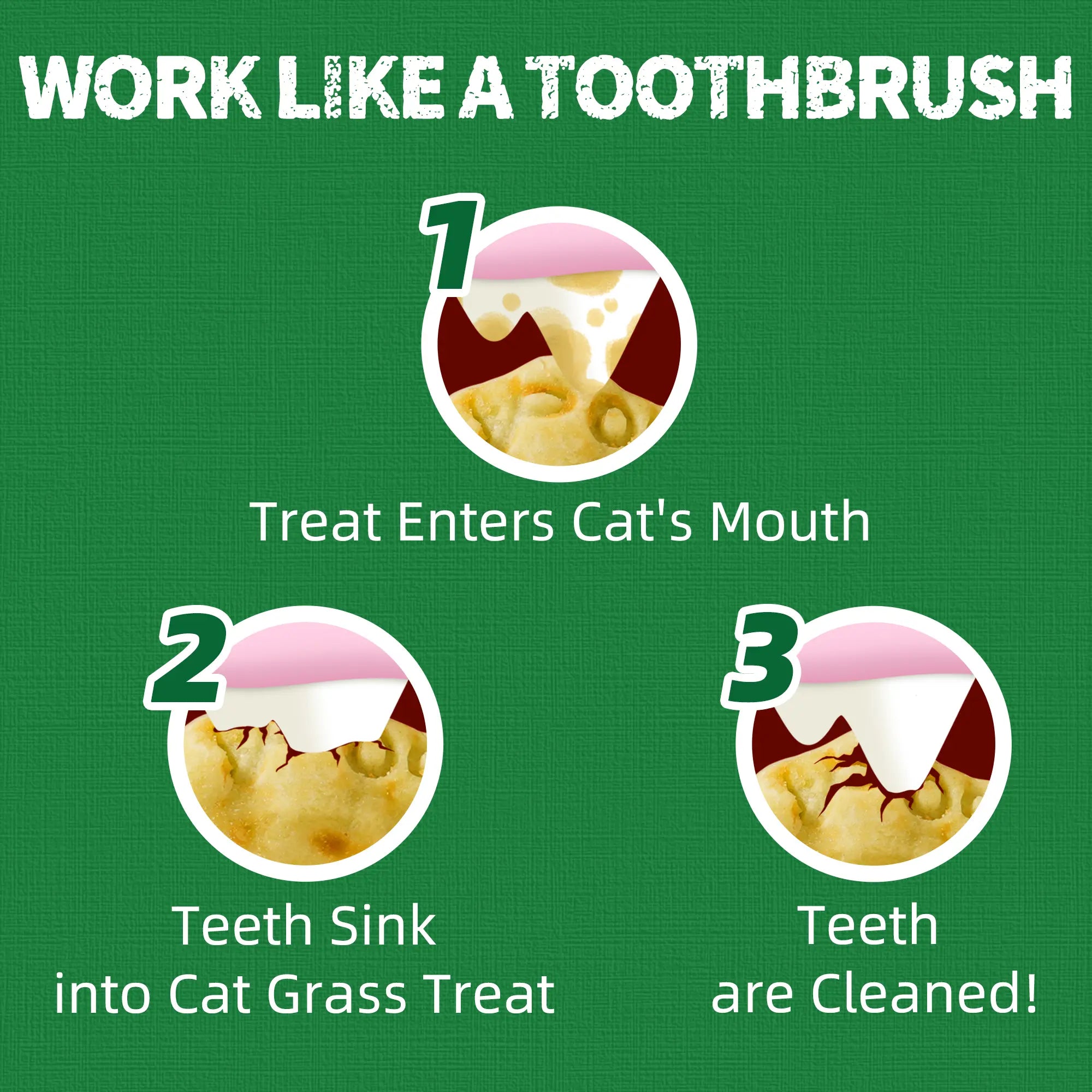 Just Try Cat Treats for Indoor Cats Hairball Control Natural Salmon Healthy Cat Grass Treats Kitten Snacks Training Biscuits Catnip for Cats Dental Care 14.1 OZ