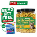 Just Try Cat Treats for Indoor Cats Hairball Control Natural Salmon Healthy Cat Grass Treats Kitten Snacks Training Biscuits Catnip for Cats Dental Care 14.1 OZ