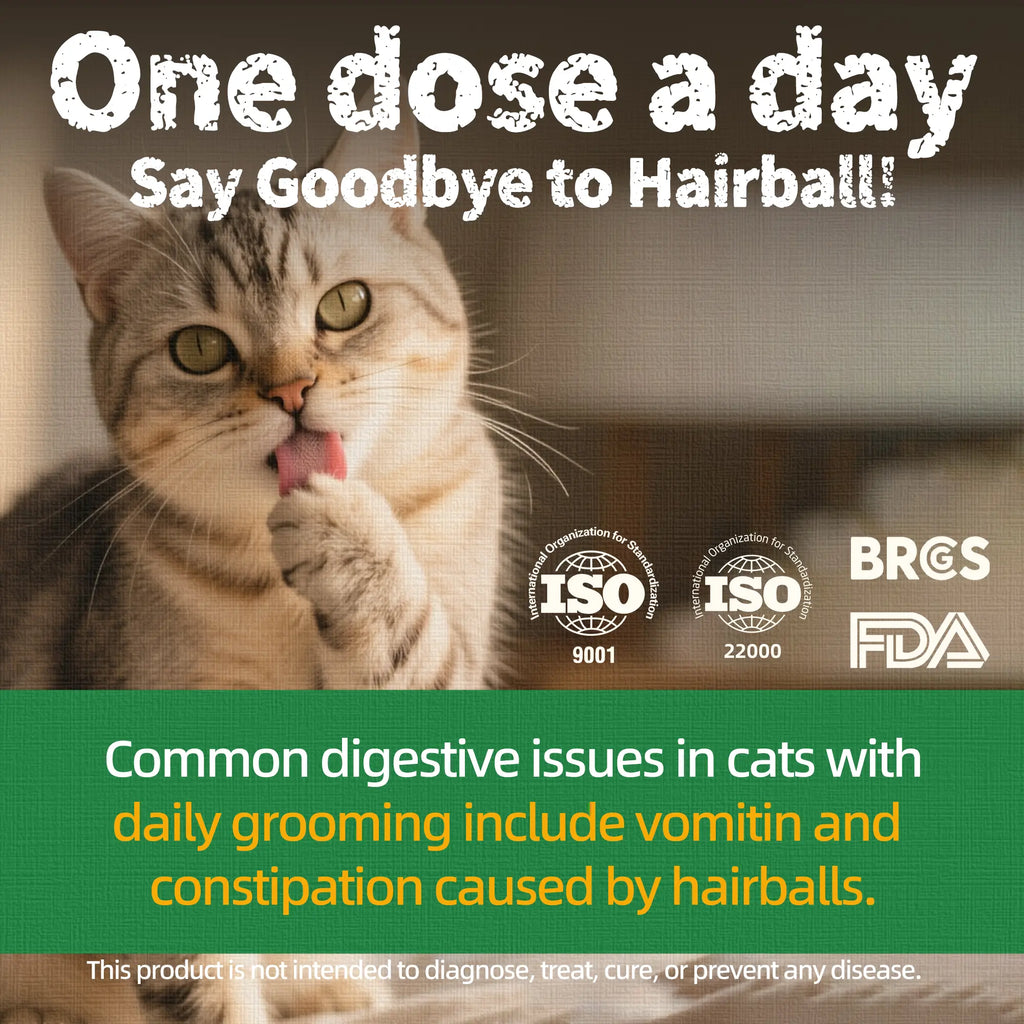 Just Try Cat Treats for Indoor Cats Hairball Control Natural Salmon Healthy Cat Grass Treats Kitten Snacks Training Biscuits Catnip for Cats Dental Care 14.1 OZ