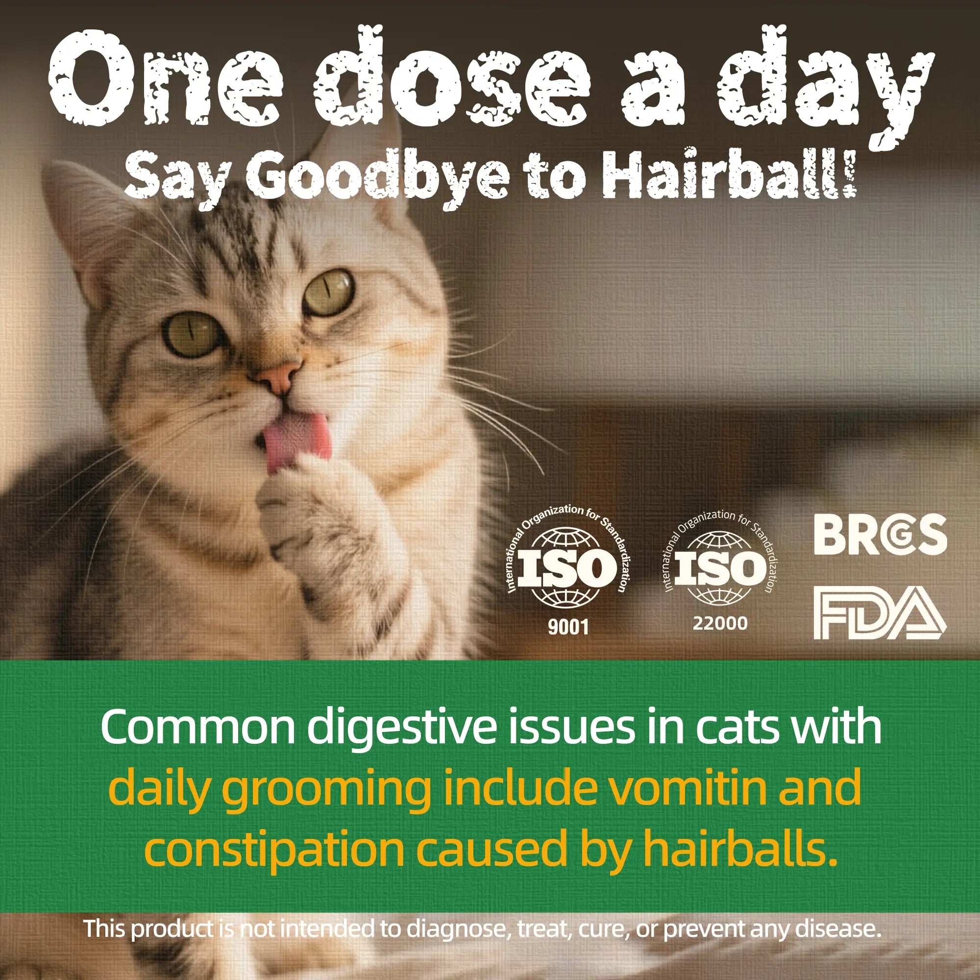 Just Try Cat Treats for Indoor Cats Hairball Control Natural Salmon Healthy Cat Grass Treats Kitten Snacks Training Biscuits Catnip for Cats Dental Care 14.1 OZ