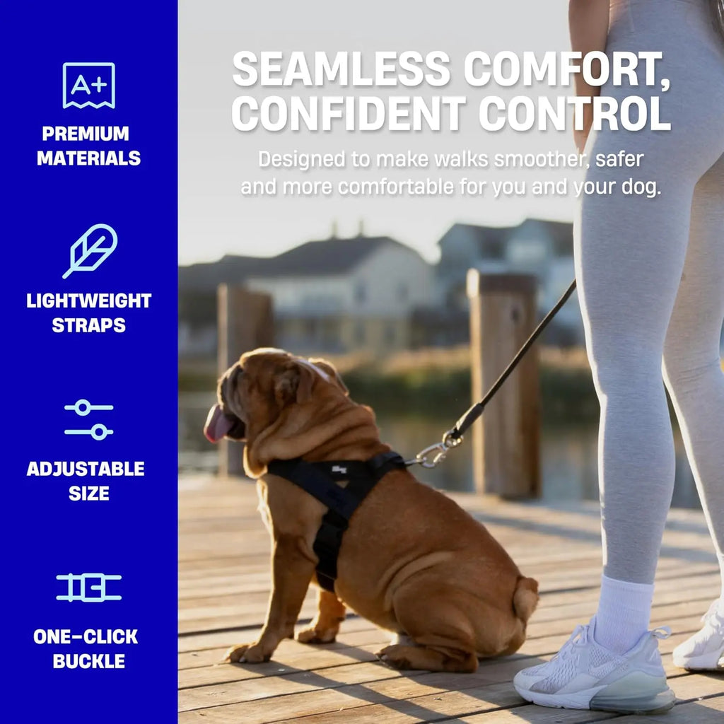 Dog Friendly Co. No-Pull Harness - Easy Fit, Safe and Comfortable Design for All Dogs - Lightweight, Chafe-Resistant Adjustable Straps