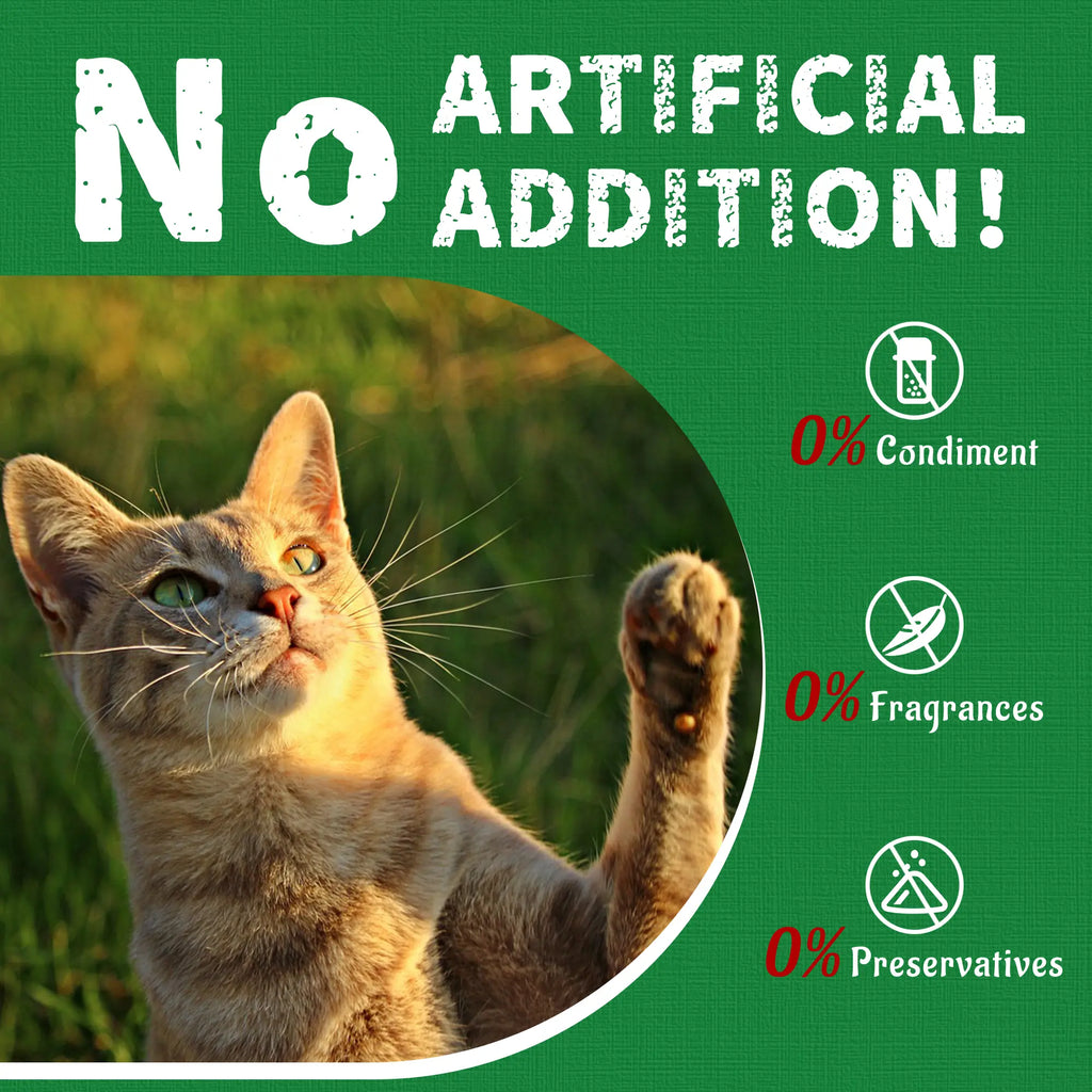 Just Try Cat Treats for Indoor Cats Hairball Control Natural Salmon Healthy Cat Grass Treats Kitten Snacks Training Biscuits Catnip for Cats Dental Care 14.1 OZ