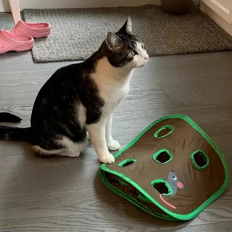 1 Set Interactive Cat Tent with Mice and Ball, 9 Holes Tunnel Cat Toy, Creative & Fun Mouse Hunting Toy, Cat Sound Toy, Pet Supplies, Valentine'S Day Gift, Pet Products