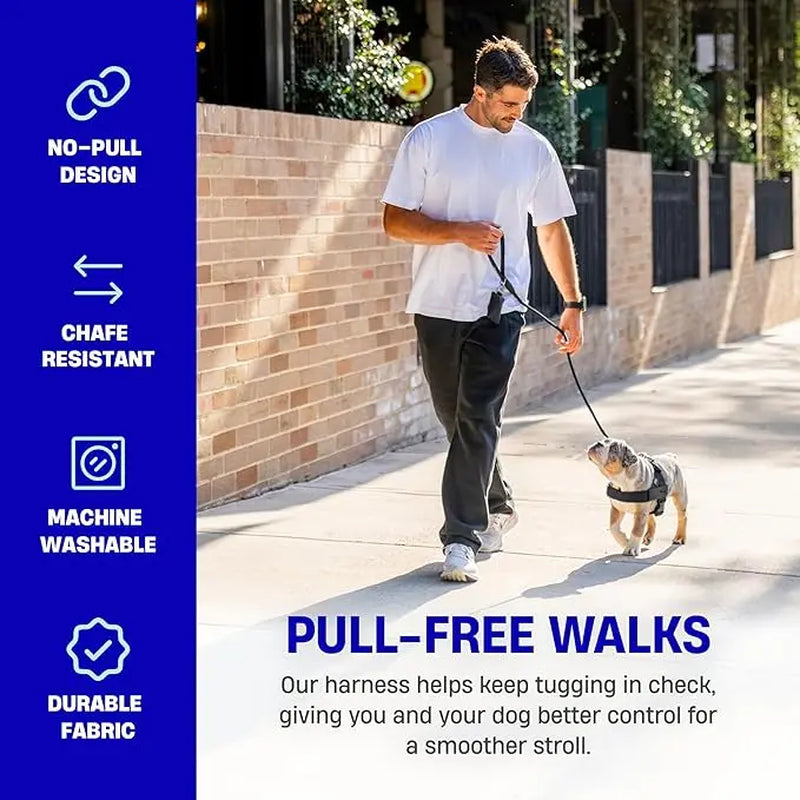 Dog Friendly Co. No-Pull Harness - Easy Fit, Safe and Comfortable Design for All Dogs - Lightweight, Chafe-Resistant Adjustable Straps