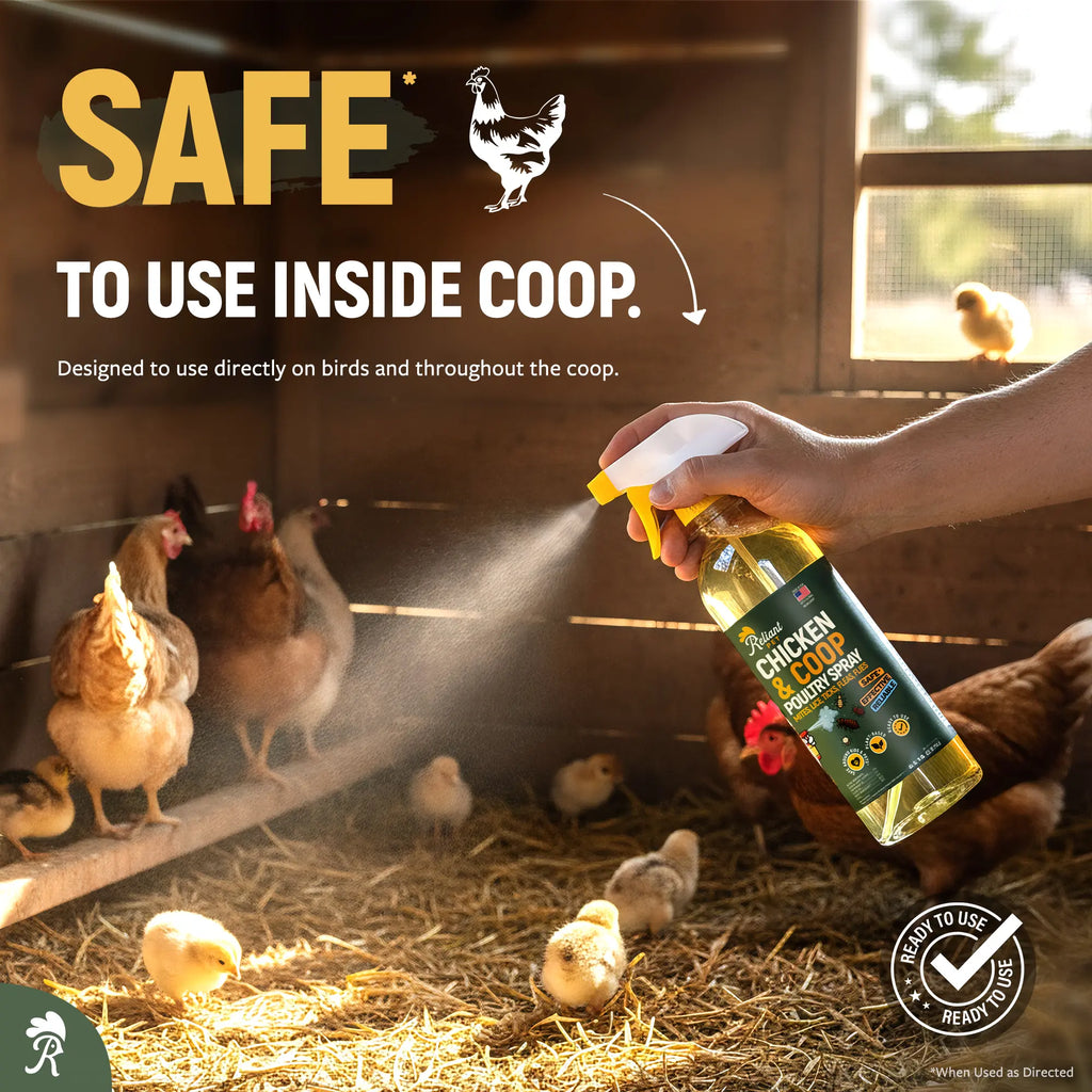Reliant Pet Chicken & Coop Poultry Spray for Mites, Lice, Ticks, Fleas, and Flies - Safe for Chickens with No Egg Removal Required - Special Promotions for Mother's Day and Father's Day
