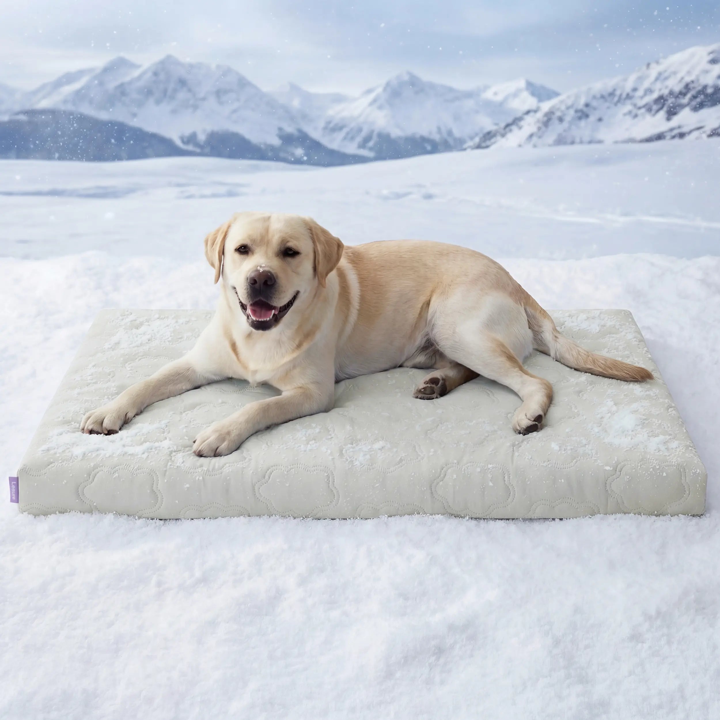Bedsure Washable Cooling Mat for Dogs - Q-MAX>0.4 Non-Slip Summer Crate Bed for Large Dogs, No Gel or Electricity Required