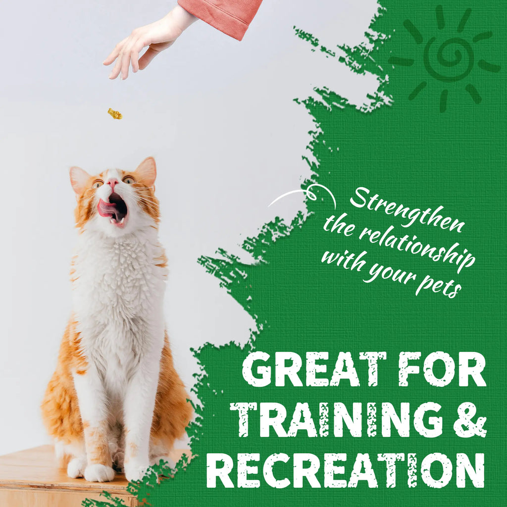 Just Try Cat Treats for Indoor Cats Hairball Control Natural Salmon Healthy Cat Grass Treats Kitten Snacks Training Biscuits Catnip for Cats Dental Care 14.1 OZ